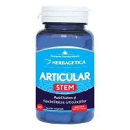 Articular stem 60cps - HERBAGETICA