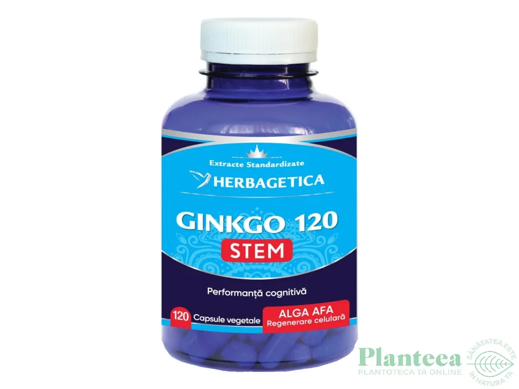 Ginkgo120+ stem 120cps - HERBAGETICA