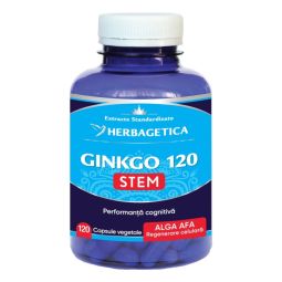 Ginkgo120+ stem 120cps - HERBAGETICA