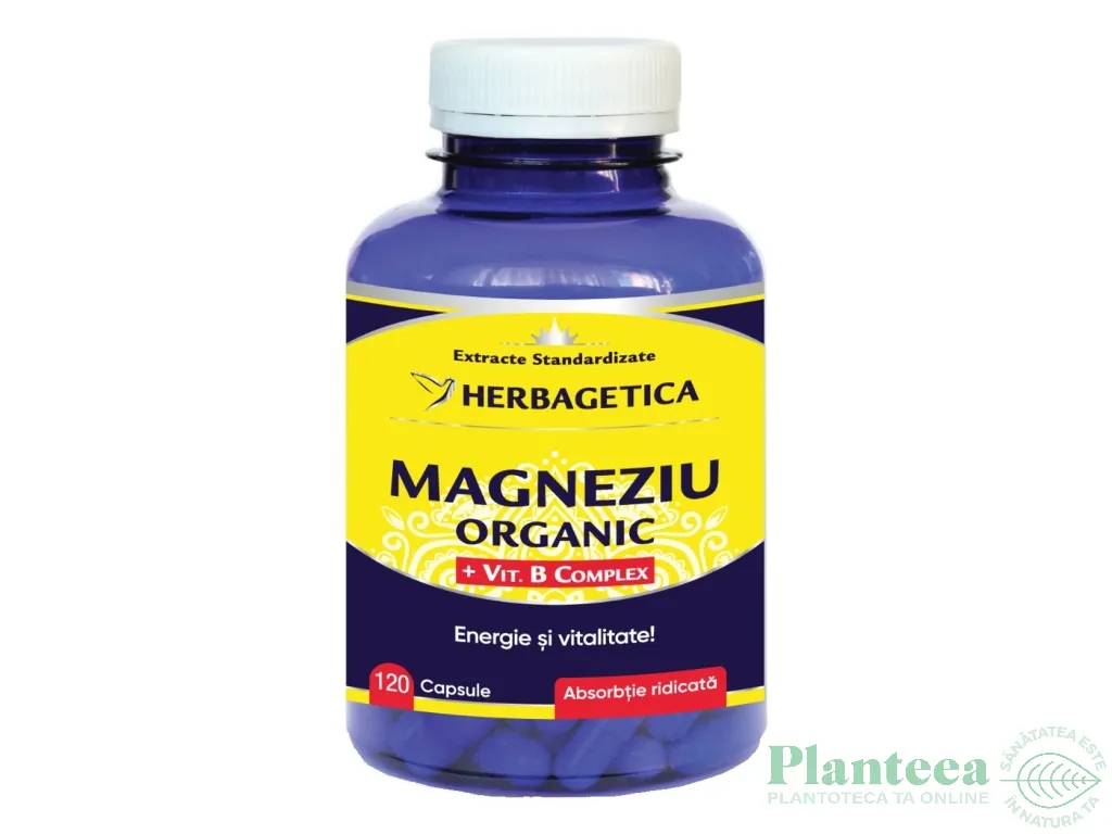 Magneziu organic B complex 120cps - HERBAGETICA