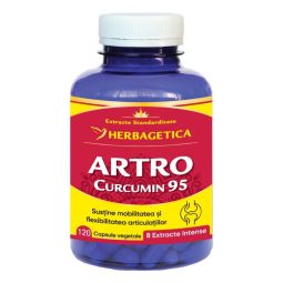 Artro+ curcumin95 120cps - HERBAGETICA