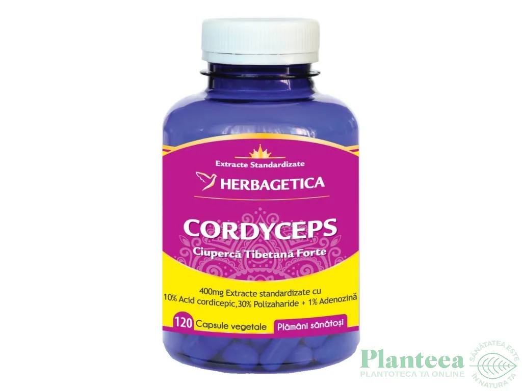 Cordyceps forte 120cps - HERBAGETICA