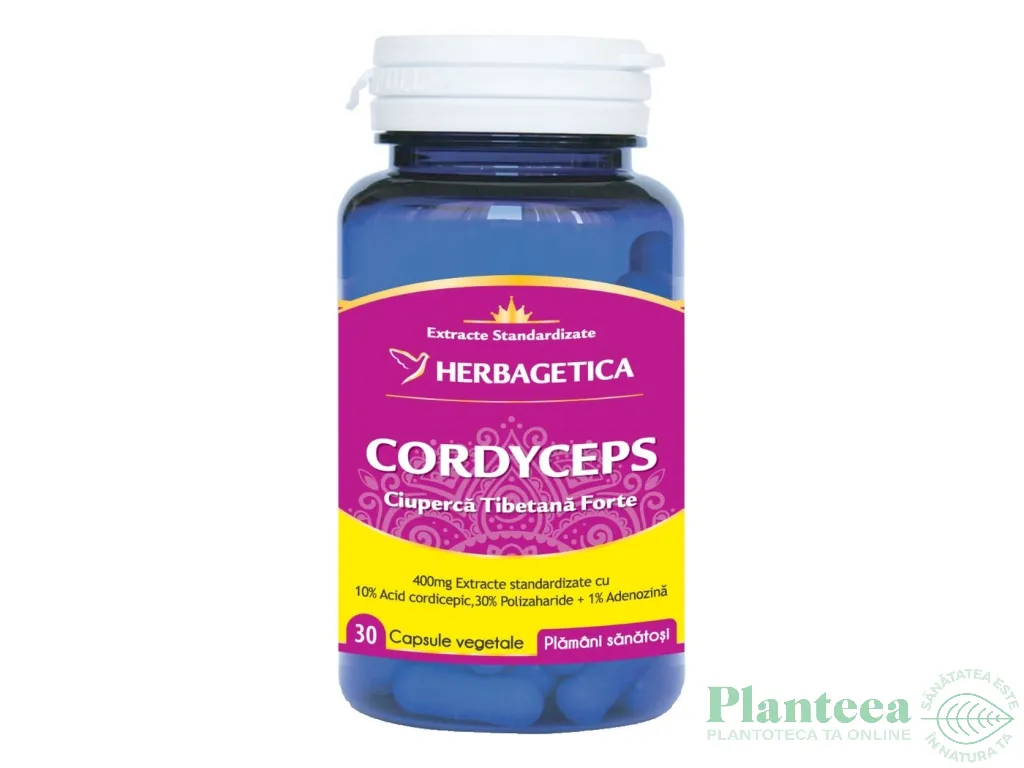 Cordyceps forte 30cps - HERBAGETICA