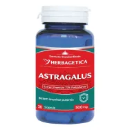 Astragalus 500mg 30cps - HERBAGETICA