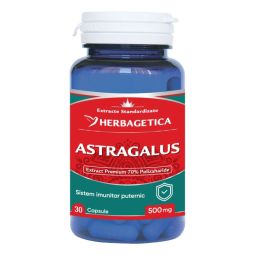 Astragalus 500mg 30cps - HERBAGETICA