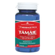 Tamaie Boswellia serrata 30cps - HERBAGETICA