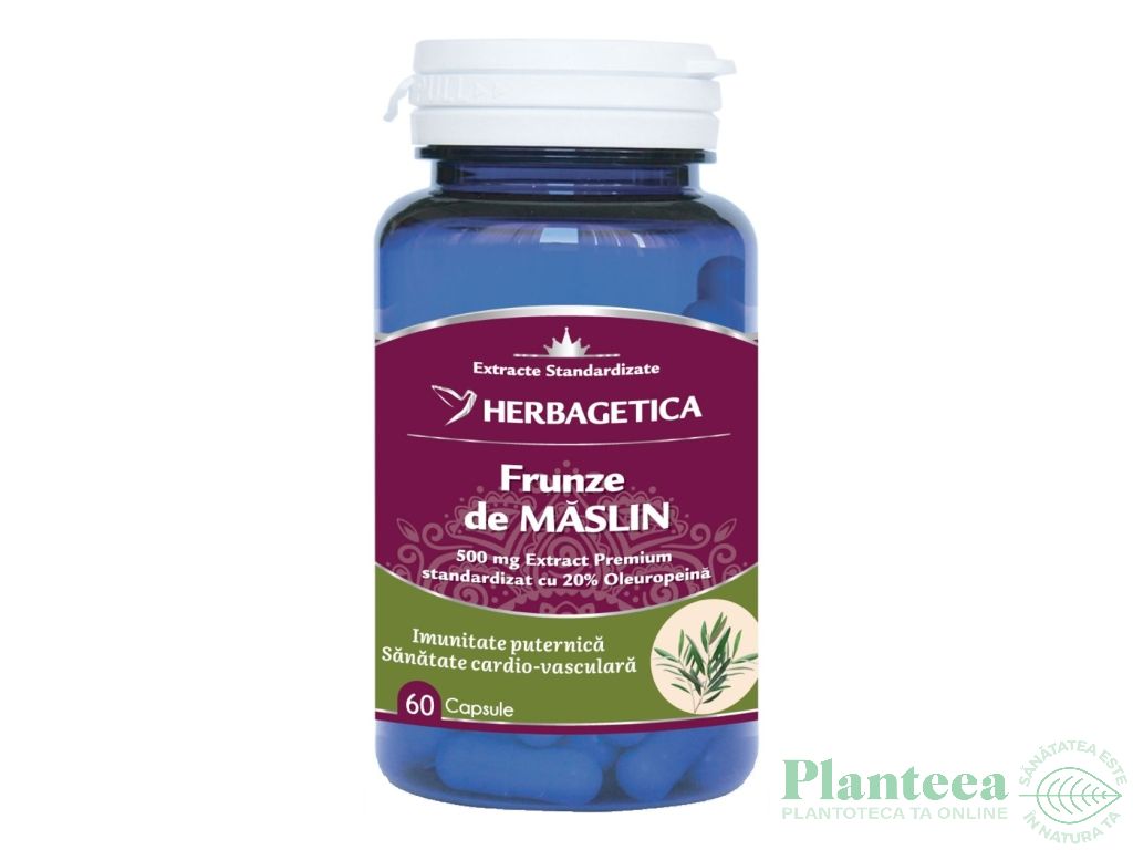 Maslin frunze 60cps - HERBAGETICA
