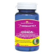 Chaga 60cps - HERBAGETICA