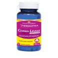 Coama leului 60cps - HERBAGETICA