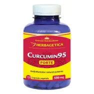 Curcumin95 forte 120cps - HERBAGETICA