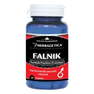 Falnik 30cp - HERBAGETICA
