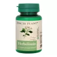 HerboTensin [Reglator tensiune] 60cp - DACIA PLANT