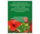 Ceai hibiscus 20dz - FARES
