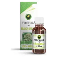 Tinctura branca ursului 50ml - HYPERICUM