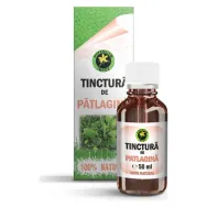 Tinctura patlagina 50ml - HYPERICUM