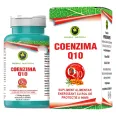 Coenzima Q10 60cps - HYPERICUM