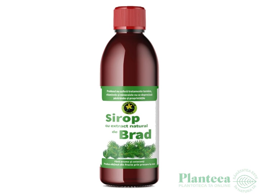 Sirop muguri brad cu zahar invertit 500ml - HYPERICUM