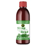 Sirop muguri brad cu zahar invertit 500ml - HYPERICUM