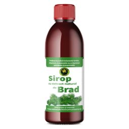 Sirop muguri brad cu zahar invertit 500ml - HYPERICUM