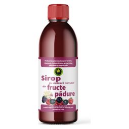 Sirop fructe padure cu zahar invertit 500ml - HYPERICUM