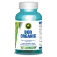 Bor organic 60cps - HYPERICUM