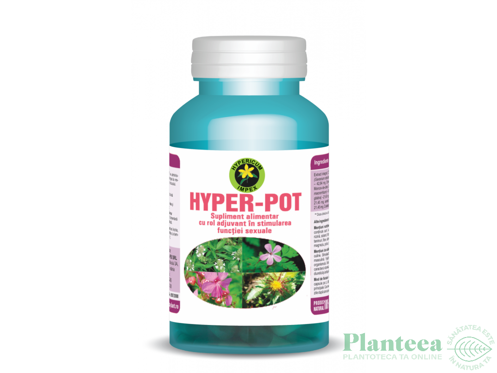 Hyper pot 60cps - HYPERICUM PLANT