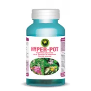 Hyper pot 60cps - HYPERICUM PLANT