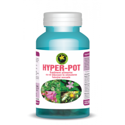 Hyper pot 60cps - HYPERICUM PLANT
