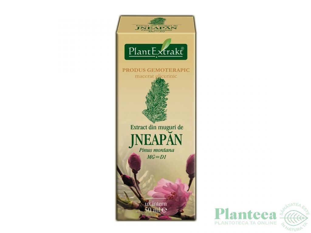 Gemoderivat jneapan muguri 50ml - PLANTEXTRAKT