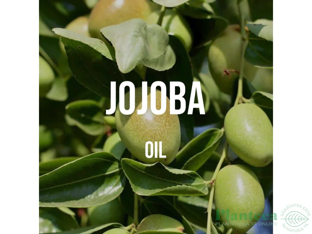 Ulei jojoba presat la rece uz cosmetic 10ml - VERRE DE NATURE