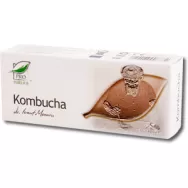Kombucha 30cps - MEDICA