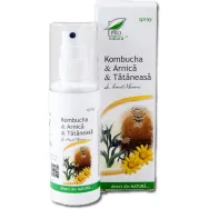Spray kombucha arnica tataneasa 100ml - MEDICA