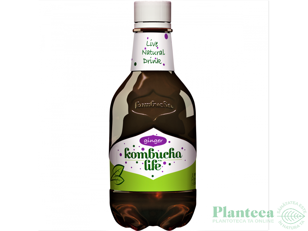 Bautura kombucha ghimbir 330ml - KOMBUCHA LIFE