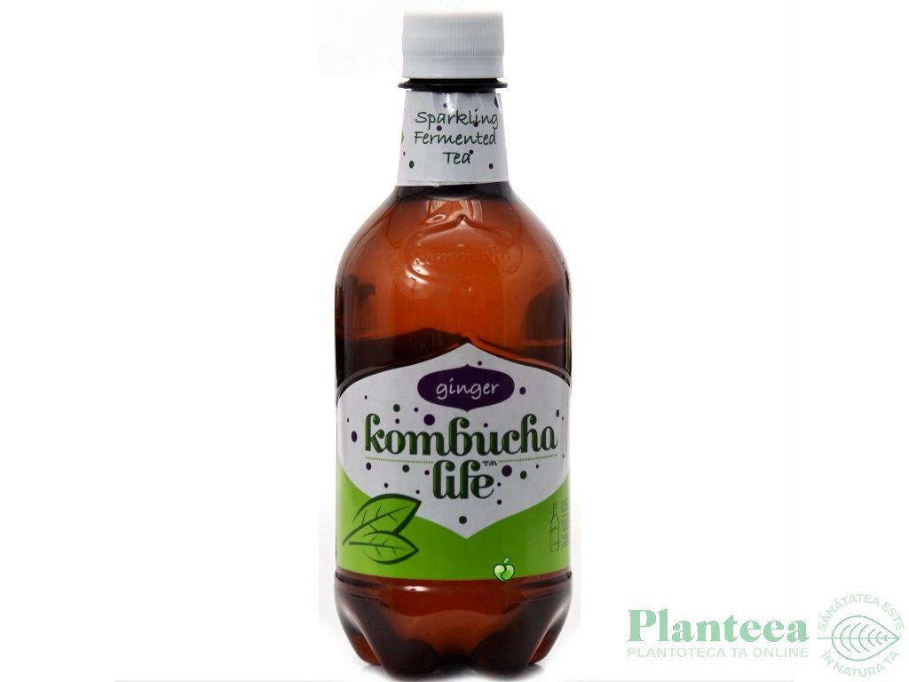 Bautura kombucha ghimbir 500ml - KOMBUCHA LIFE