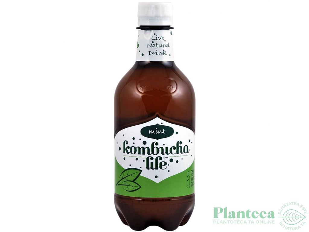 Bautura kombucha menta 500ml - KOMBUCHA LIFE