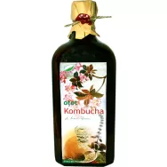 Otet kombucha 500ml - MEDICA