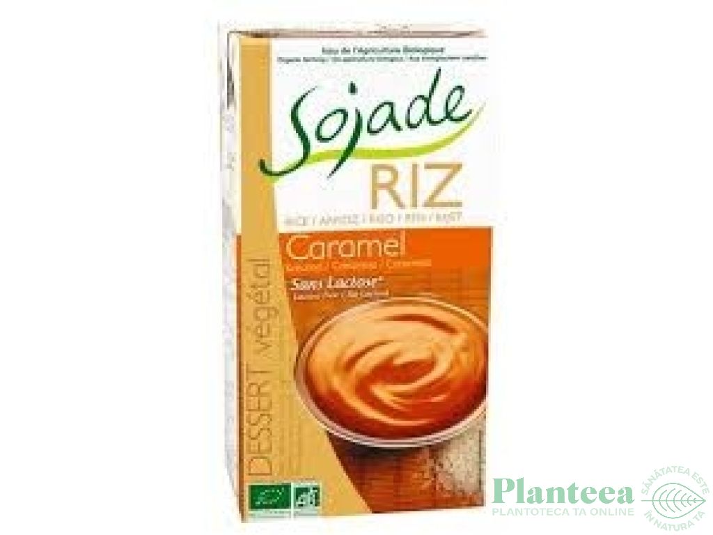 Desert crema orez caramel 530g - SOJADE