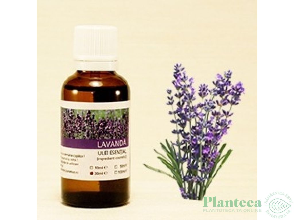 Ulei esential lavanda Romania 10ml - SANFLORA