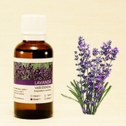 Ulei esential lavanda Romania 10ml - SANFLORA