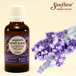 Ulei esential lavanda Mont Blanc 50ml - SANFLORA