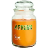 Lumanare parfumata borcan mare cu capac 100h Citrus 550g - PETALI