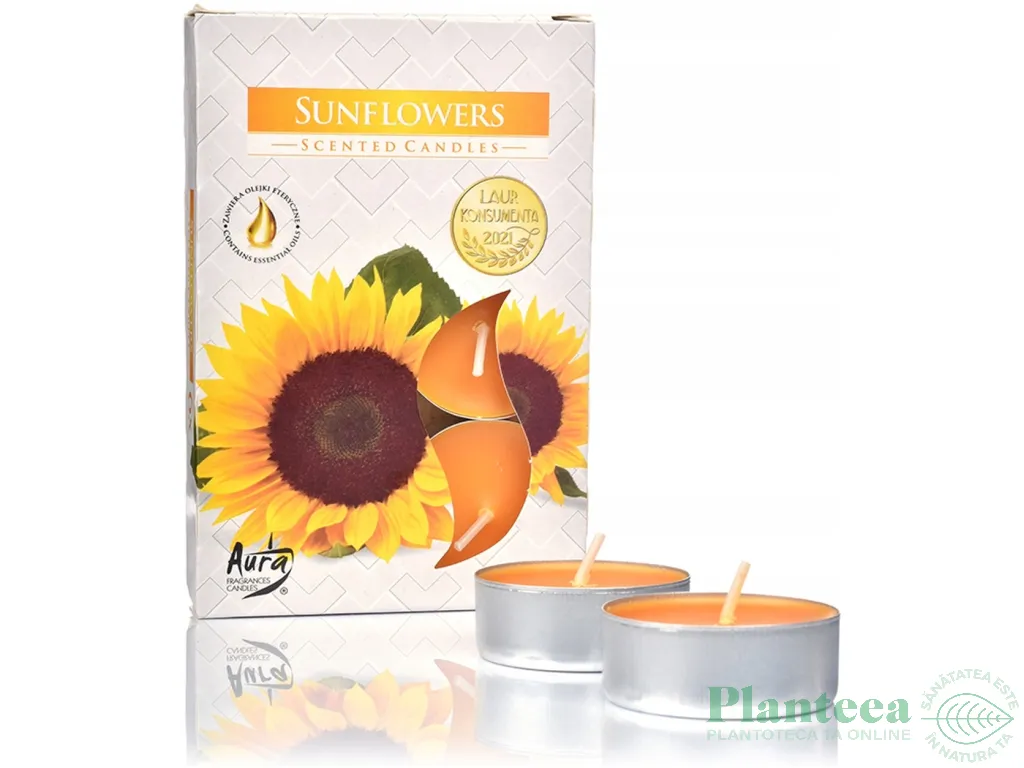 Lumanari pastila parfumate 4h Floarea soarelui 6b - AURA