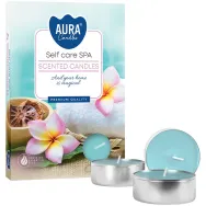 Lumanari pastila parfumate 4h Self care spa 6b - AURA