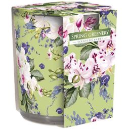 Lumanare parfumata pahar imprimat 22h Spring greenery 100g - AURA