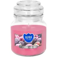 Lumanare parfumata borcan cu capac 28h Fructe padure inghetate 120g - AURA