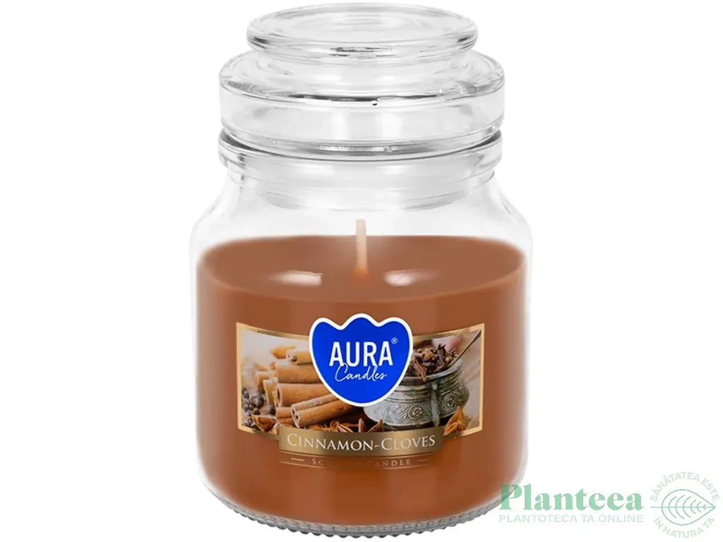 Lumanare parfumata borcan cu capac 28h Scortisoara Cuisoare 120g - AURA