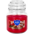 Lumanare parfumata borcan cu capac 28h Mar Scortisoara 120g - AURA