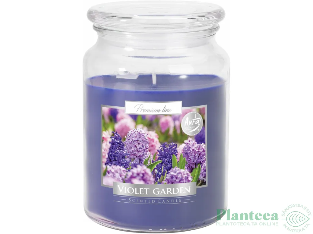 Lumanare parfumata borcan cu capac 100h Gradina violete 500g - AURA
