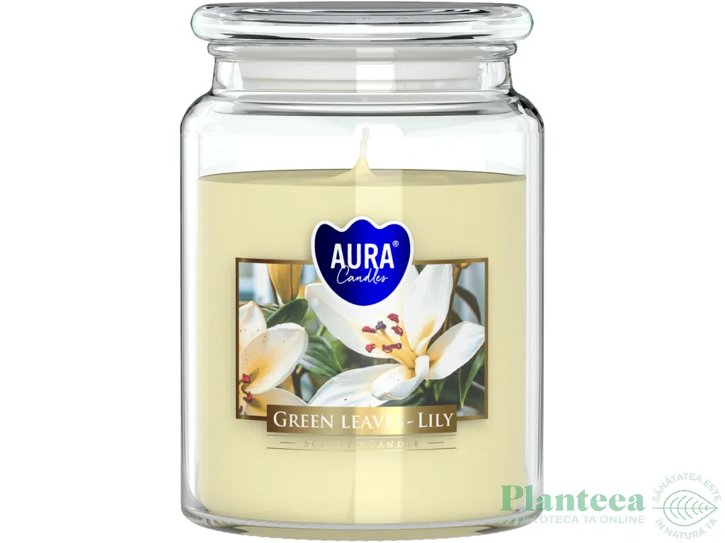 Lumanare parfumata borcan cu capac 100h Frunze verzi crin 500g - AURA
