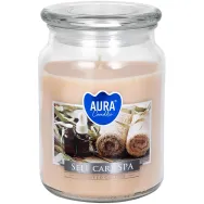 Lumanare parfumata borcan cu capac 100h Self care spa 500g - AURA